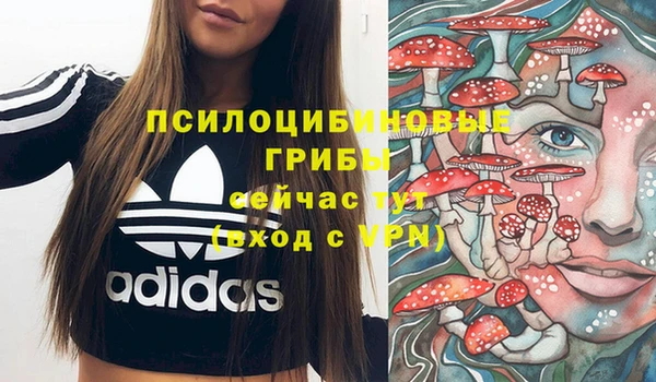 Альфа ПВП Аркадак